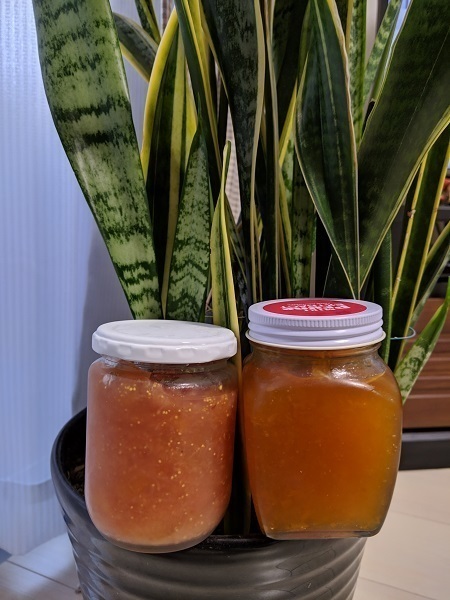IMG_20191107_061640.jpg