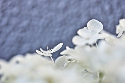 0217-y.JPG