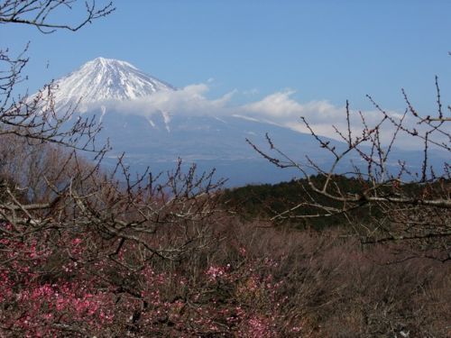 2010_01300014.JPG