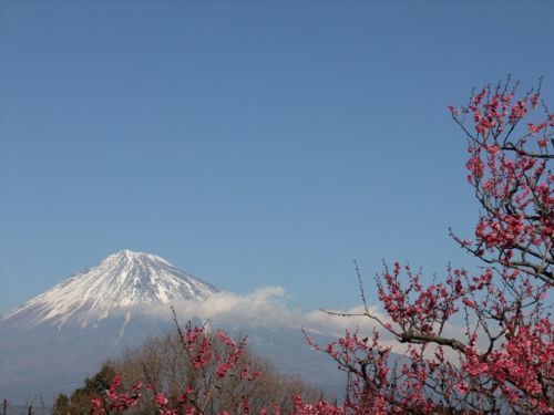 2010_01300017.JPG